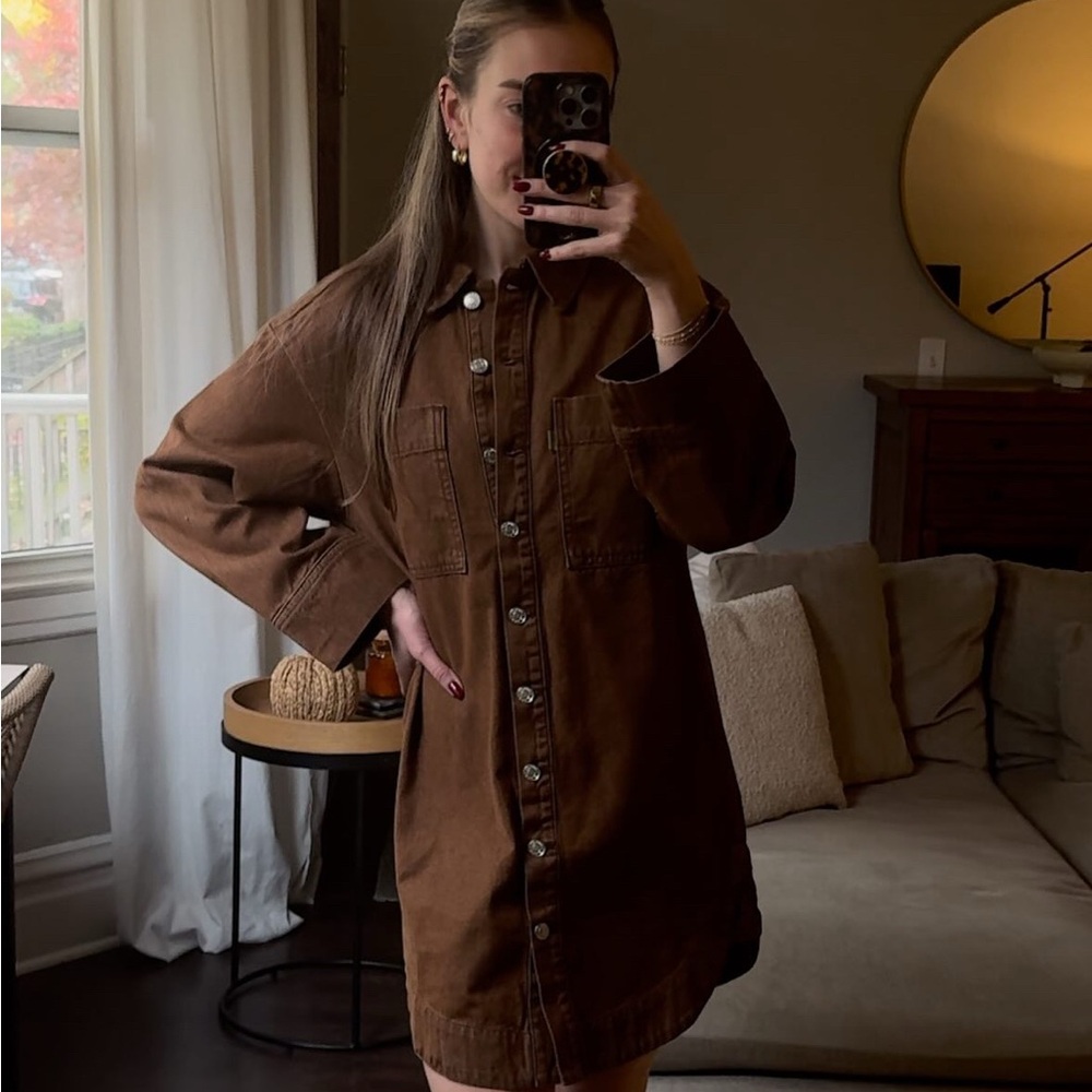 FRNCH Paris Brown Collared Shirt Dress